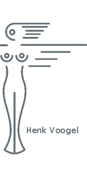 sm roman boek Henk Voogel